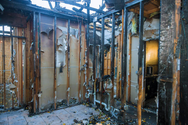 Professional Fire Damage Cleanup technician working in Cologne, NJ